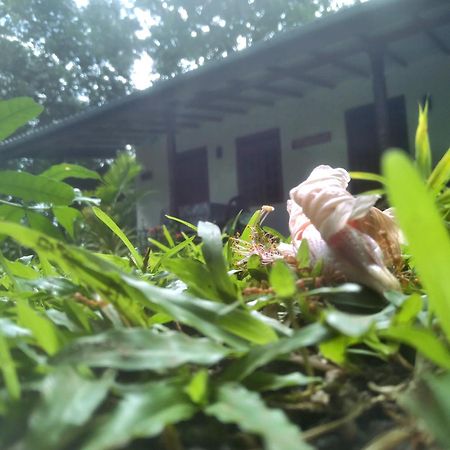 Sigiriya Hillside View Villa Экстерьер фото