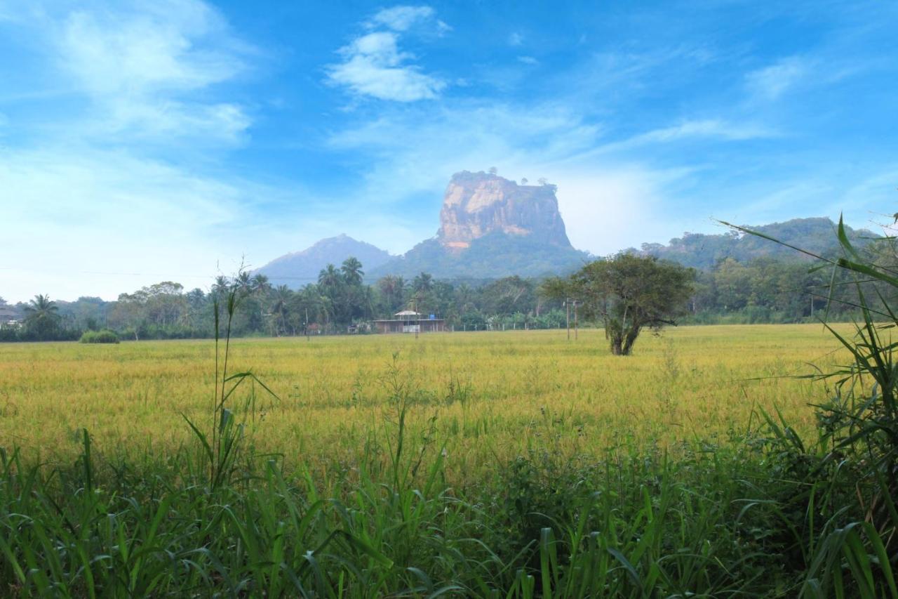 Sigiriya Hillside View Villa Экстерьер фото