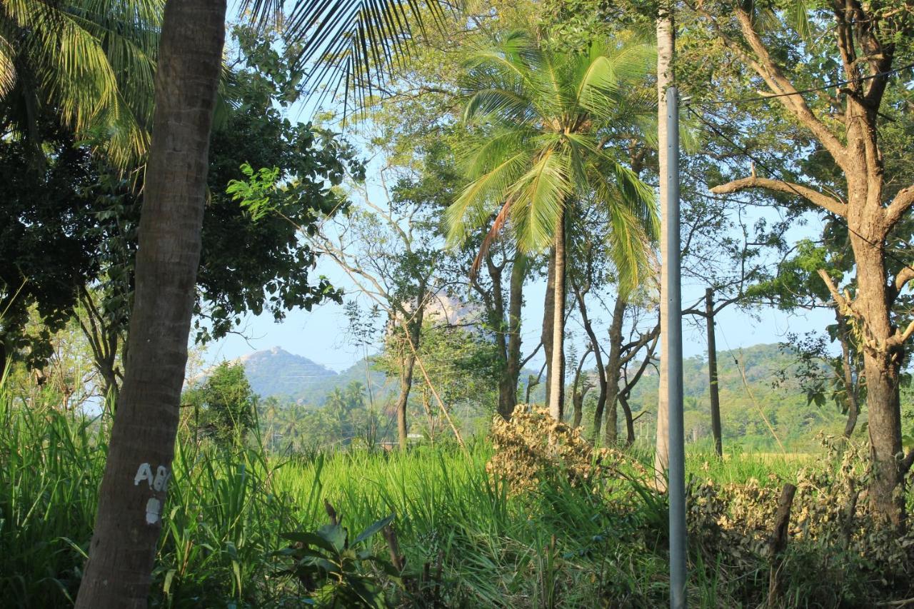 Sigiriya Hillside View Villa Экстерьер фото